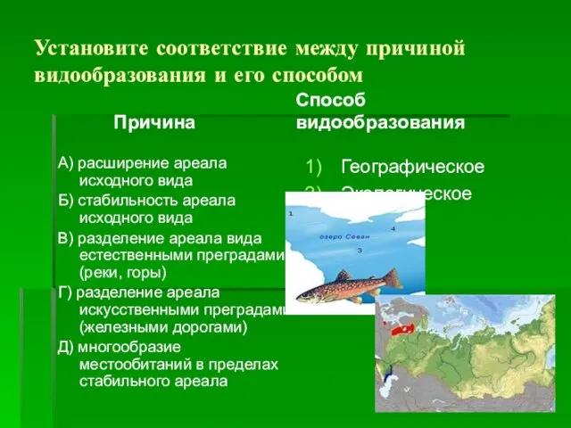 Установите соответствие между причиной видообразования и его способом Причина А)