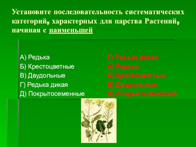 Установите последовательность систематических категорий, характерных для царства Растений, начиная с