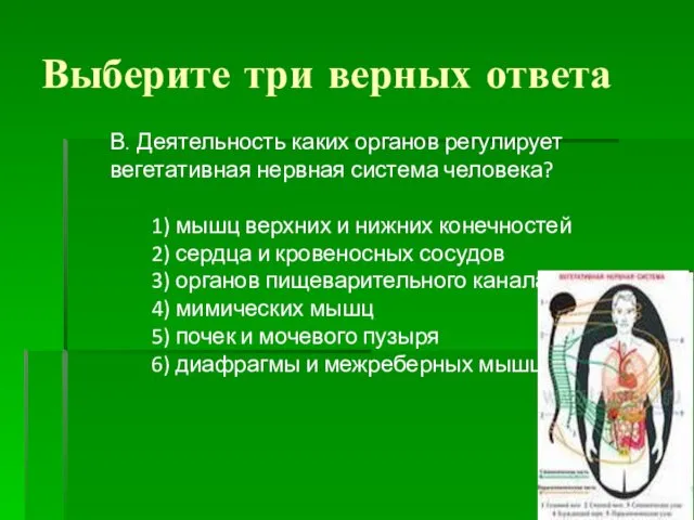 Выберите три верных ответа В. Деятельность каких органов регулирует вегетативная