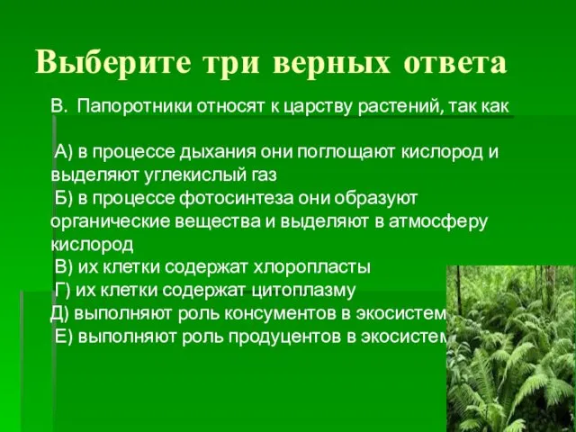 Выберите три верных ответа В. Папоротники относят к царству растений,