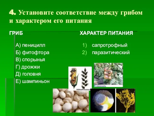 4. Установите соответствие между грибом и характером его питания ГРИБ