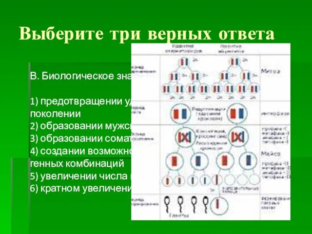 Выберите три верных ответа В. Биологическое значение мейоза заключается в