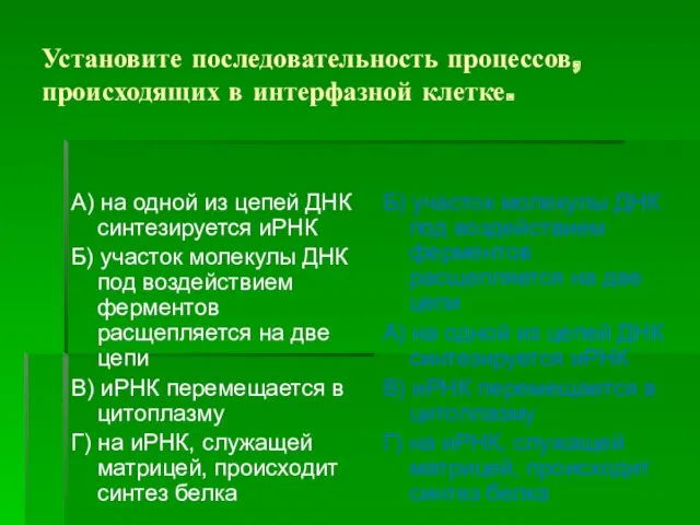 Установите последовательность процессов, происходящих в интерфазной клетке. А) на одной