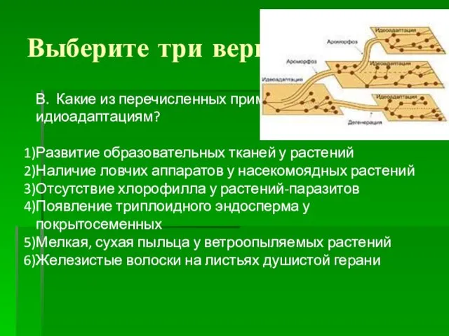 Выберите три верных ответа В. Какие из перечисленных примеров относят