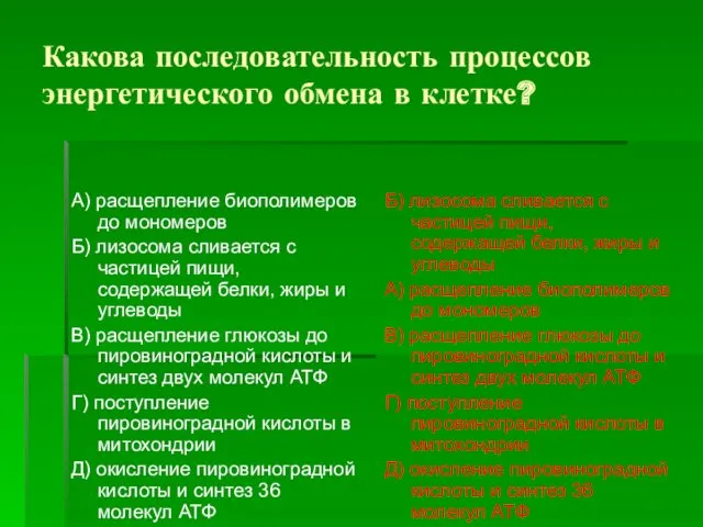 Какова последовательность процессов энергетического обмена в клетке? А) расщепление биополимеров