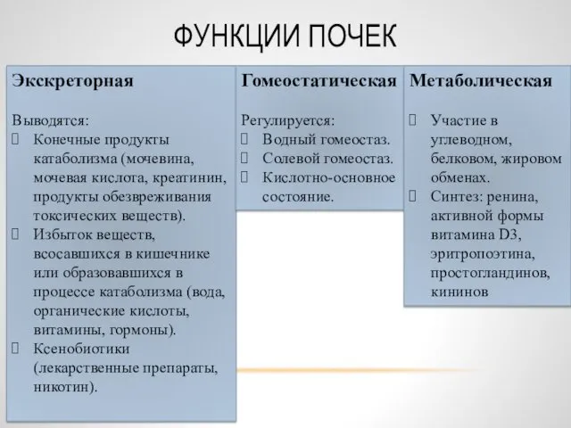 ФУНКЦИИ ПОЧЕК Экскреторная Выводятся: Конечные продукты катаболизма (мочевина, мочевая кислота,