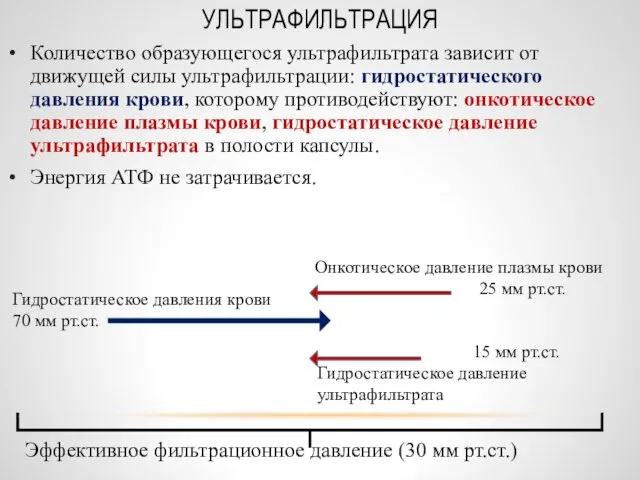 УЛЬТРАФИЛЬТРАЦИЯ Количество образующегося ультрафильтрата зависит от движущей силы ультрафильтрации: гидростатического