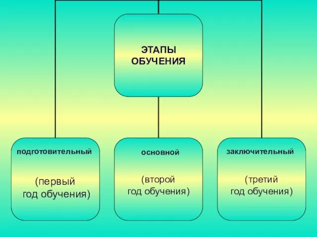 подготовительный основной заключительный (первый год обучения)