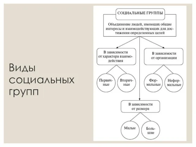 Виды социальных групп