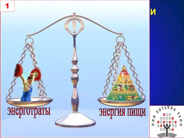 1-ый ЗАКОН НАУКИ О ПИТАНИИ энерготраты энергия пищи 1