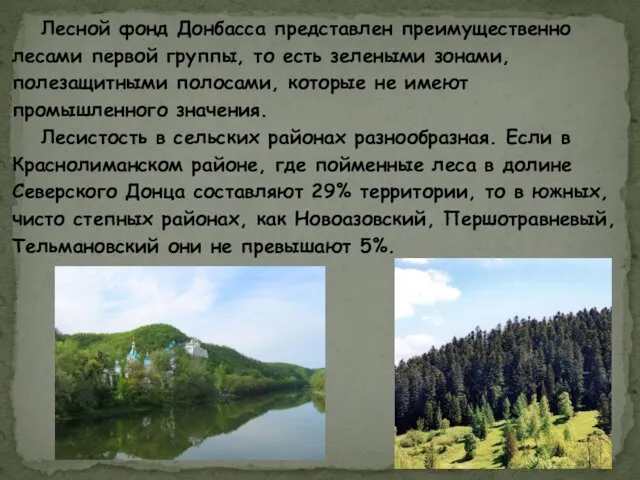 Лесной фонд Донбасса представлен преимущественно лесами первой группы, то есть