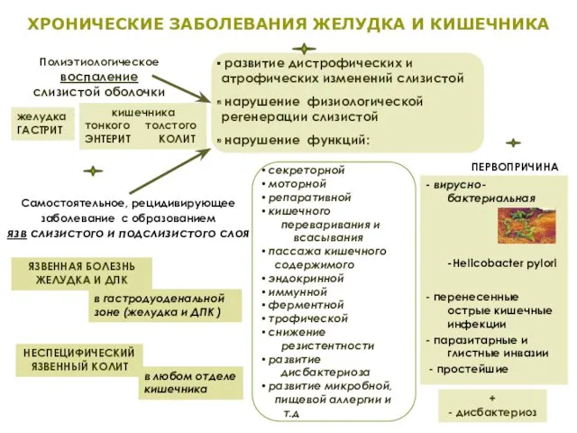 желудка ГАСТРИТ кишечника тонкого толстого ЭНТЕРИТ КОЛИТ Полиэтиологическое воспаление слизистой