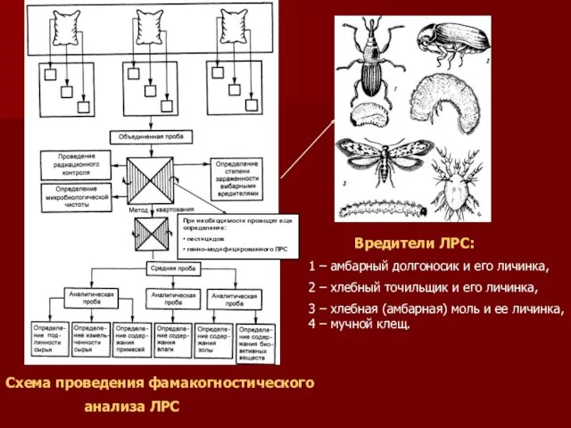 При необходимости проводят еще определение: • пестицидов • генно-модифицированного ЛРС