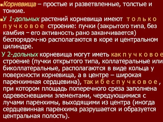 Корневища – простые и разветвленные, толстые и тонкие. У 1-дольных