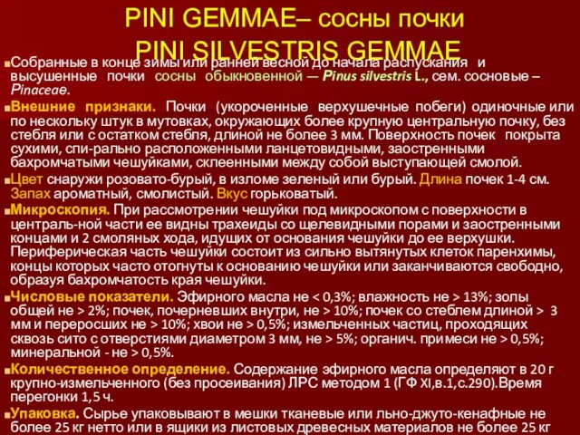 РINI GЕММАЕ– сосны почки PINI SILVESTRIS GEMMAE Собранные в конце