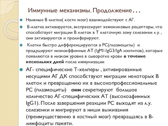 Иммунные механизмы. Продолжение… Наивные В клетки( костн мозг) взаимодействуют с АГ. В-клетка активируется,