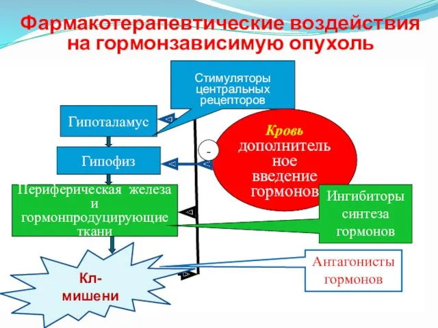 Фармакотерапевтические воздействия на гормонзависимую опухоль Гипофиз Периферическая железа и гормонпродуцирующие