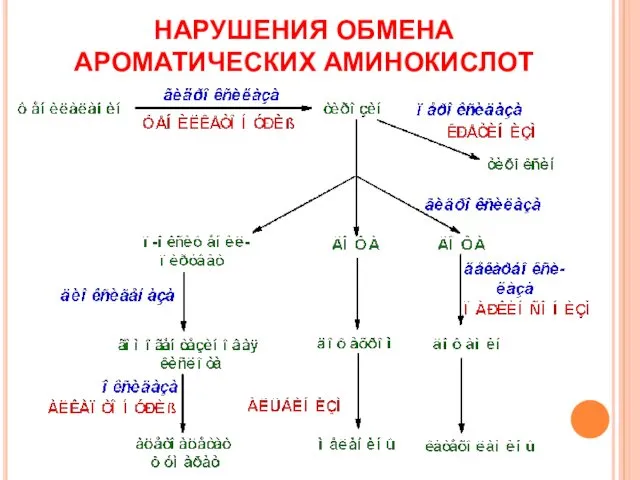 НАРУШЕНИЯ ОБМЕНА АРОМАТИЧЕСКИХ АМИНОКИСЛОТ