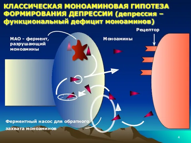 КЛАССИЧЕСКАЯ МОНОАМИНОВАЯ ГИПОТЕЗА ФОРМИРОВАНИЯ ДЕПРЕССИИ (депрессия – функциональный дефицит моноаминов)