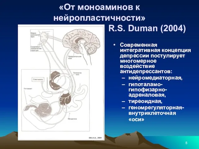 «От моноаминов к нейропластичности» R.S. Duman (2004) Современная интегративная концепция