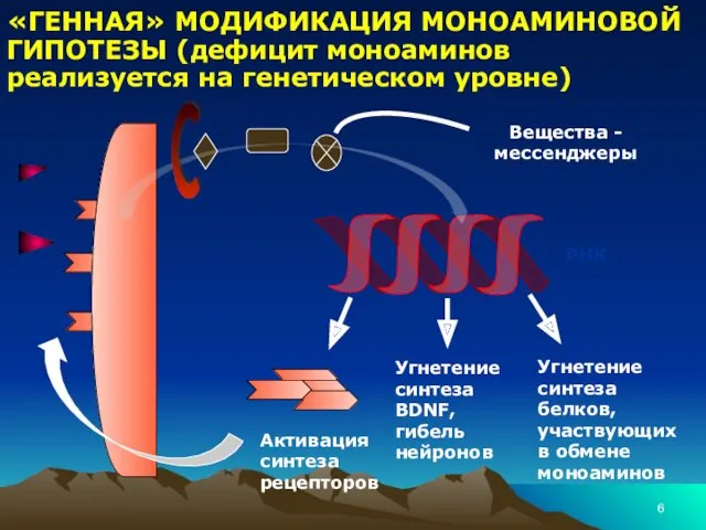 «ГЕННАЯ» МОДИФИКАЦИЯ МОНОАМИНОВОЙ ГИПОТЕЗЫ (дефицит моноаминов реализуется на генетическом уровне)