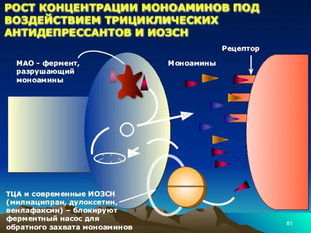 МАО - фермент, разрушающий моноамины Моноамины Рецептор ТЦА и современные