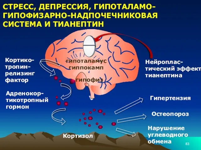 СТРЕСС, ДЕПРЕССИЯ, ГИПОТАЛАМО-ГИПОФИЗАРНО-НАДПОЧЕЧНИКОВАЯ СИСТЕМА И ТИАНЕПТИН Кортико-тропин-релизинг фактор Адренокор-тикотропный гормон