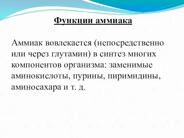 Функции аммиака Аммиак вовлекается (непосредственно или через глутамин) в синтез