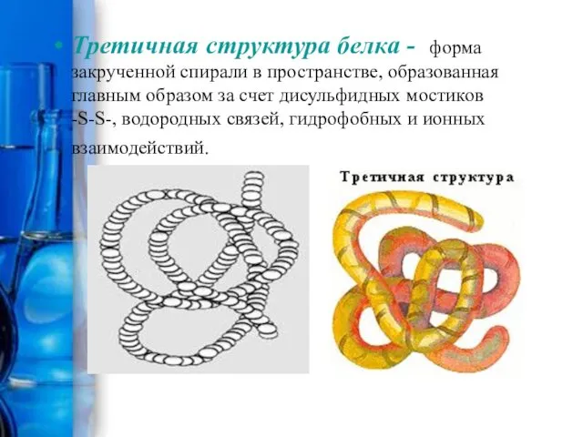 Третичная структура белка - форма закрученной спирали в пространстве, образованная главным образом за