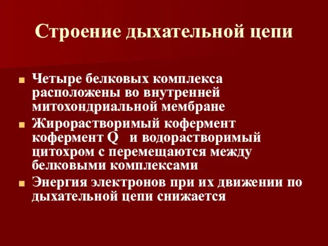 Строение дыхательной цепи Четыре белковых комплекса расположены во внутренней митохондриальной