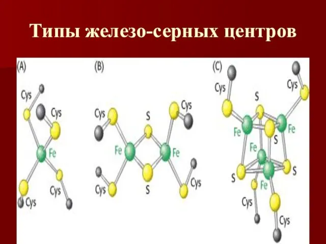 Типы железо-серных центров