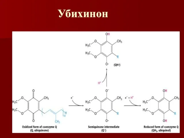 Убихинон