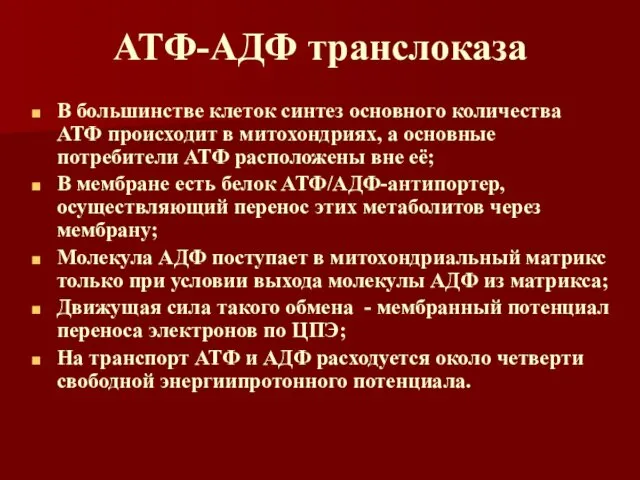 АТФ-АДФ транслоказа В большинстве клеток синтез основного количества АТФ происходит