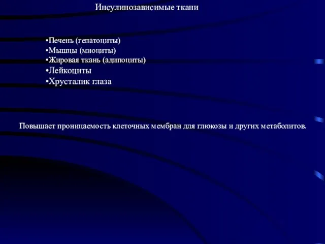 Инсулинозависимые ткани Печень (гепатоциты) Мышцы (миоциты) Жировая ткань (адипоциты) Лейкоциты