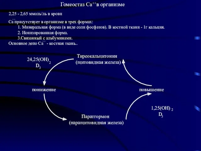 Гомеостаз Са в организме Тиреокальцитонин (щитовидная железа) понижение повышение Паратгормон