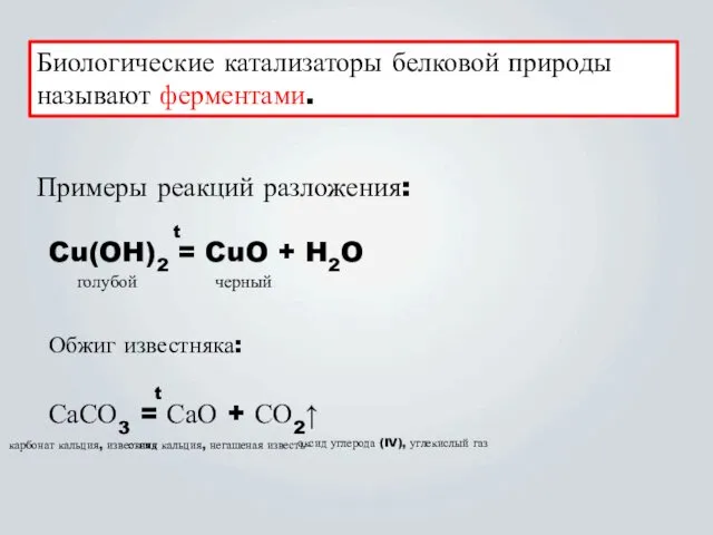 Биологические катализаторы белковой природы называют ферментами. Примеры реакций разложения: Cu(OH)2