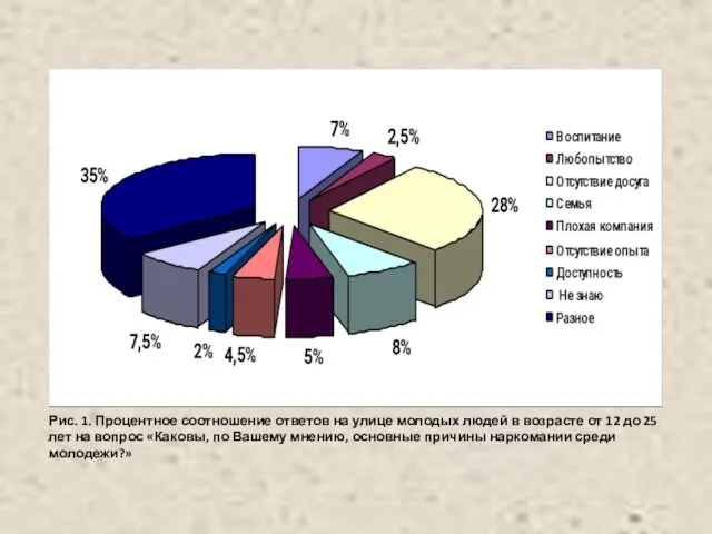 Рис. 1. Процентное соотношение ответов на улице молодых людей в