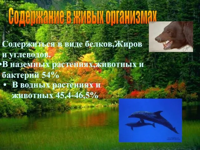 07/30/2022 Содержание в живых организмах В наземных растениях,животных и бактерий