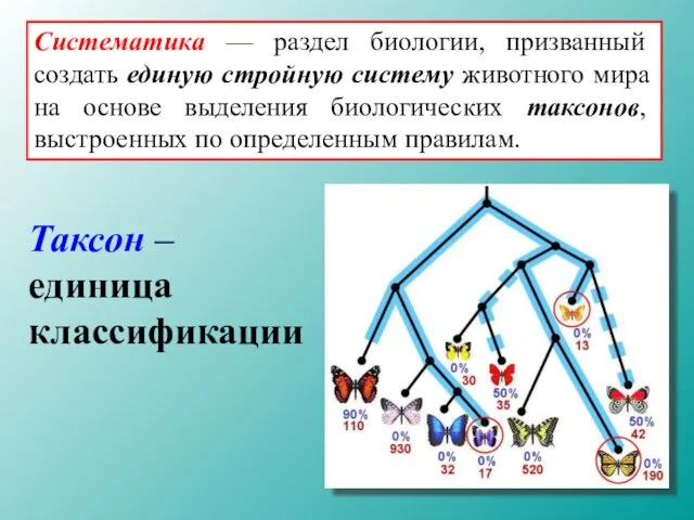 Систематика — раздел биологии, призванный создать единую стройную систему животного