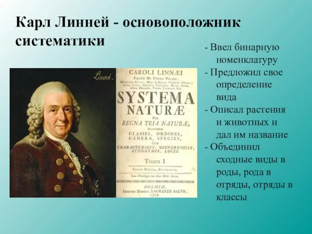 Карл Линней - основоположник систематики - Ввел бинарную номенклатуру - Предложил свое определение