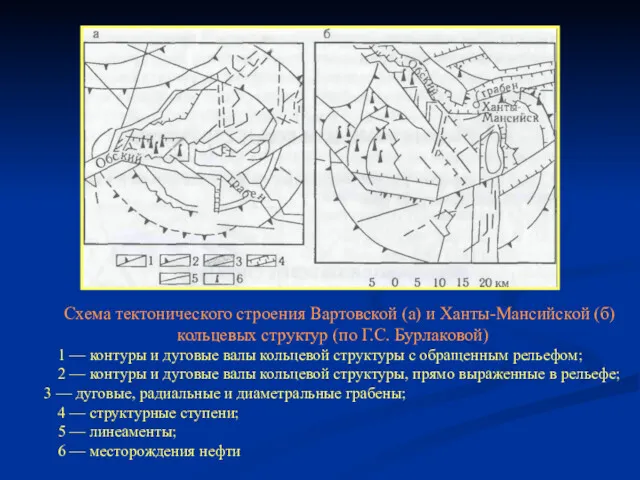 Схема тектонического строения Вартовской (а) и Ханты-Ман­сийской (б) кольцевых структур (по Г.С. Бурлаковой)