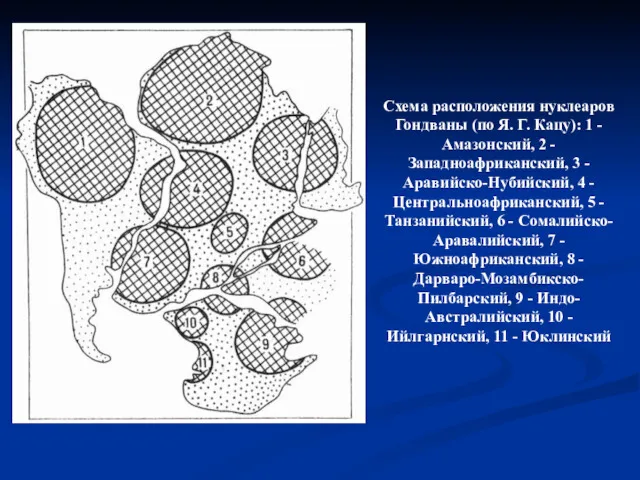 Схема расположения нуклеаров Гондваны (по Я. Г. Кацу): 1 -