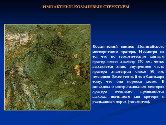 Космический снимок Попигайского метеоритного кратера. Несмотря на то, что по геологическим данным кратер