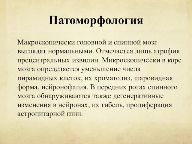 Патоморфология Макроскопически головной и спинной мозг выглядят нормальными. Отмечается лишь