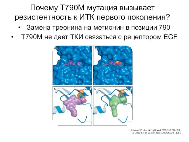 Почему Т790М мутация вызывает резистентность к ИТК первого поколения? Замена треонина на метионин