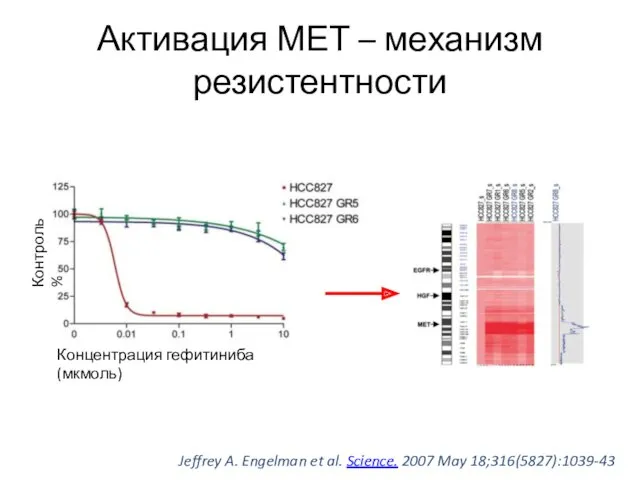 Активация МЕТ – механизм резистентности Jeffrey A. Engelman et al. Science. 2007 May
