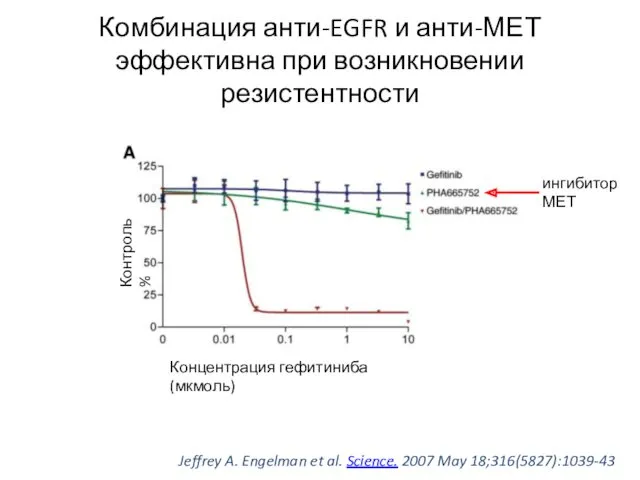 Комбинация анти-EGFR и анти-МЕТ эффективна при возникновении резистентности ингибитор МЕТ Jeffrey A. Engelman