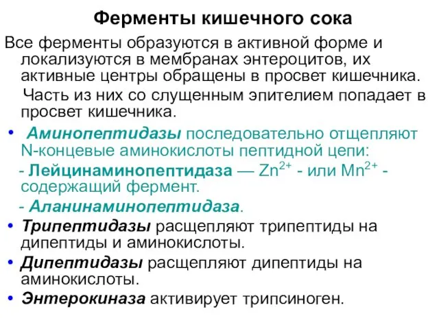 Ферменты кишечного сока Все ферменты образуются в активной форме и локализуются в мембранах