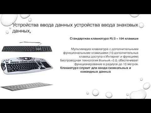 Устройства ввода данных устройства ввода знаковых данных, Стандартная клавиатура PS/2 – 104 клавиши