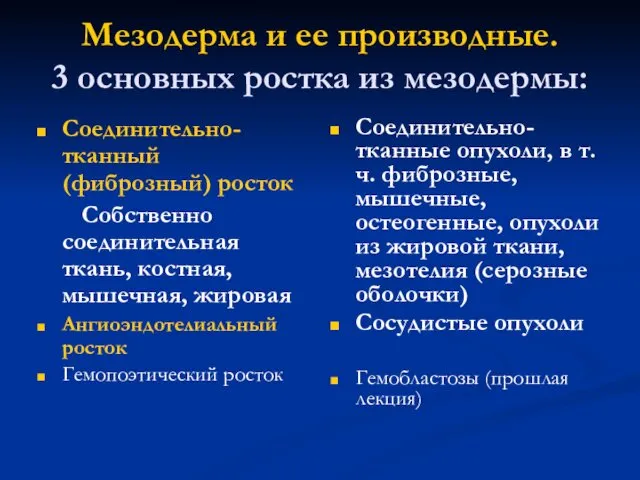 Мезодерма и ее производные. 3 основных ростка из мезодермы: Соединительно-тканный